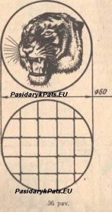 36