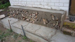 Kitą dieną nuimame karkasą, ir matome kur betonas nepateko.