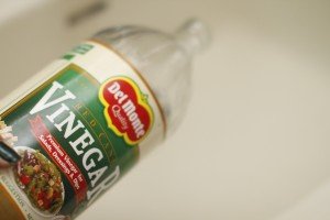 vinegar
